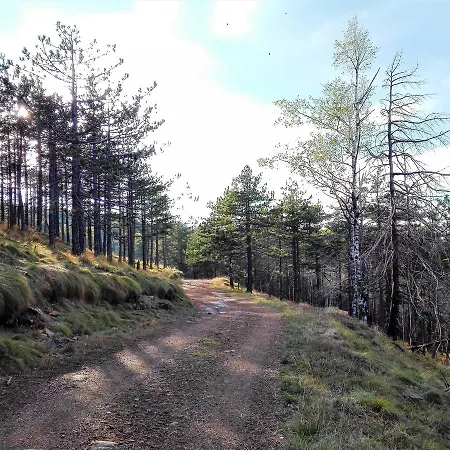 Beljic Appartamento *