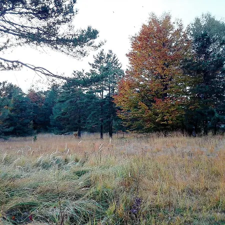 Beljic Appartamento Divčibare