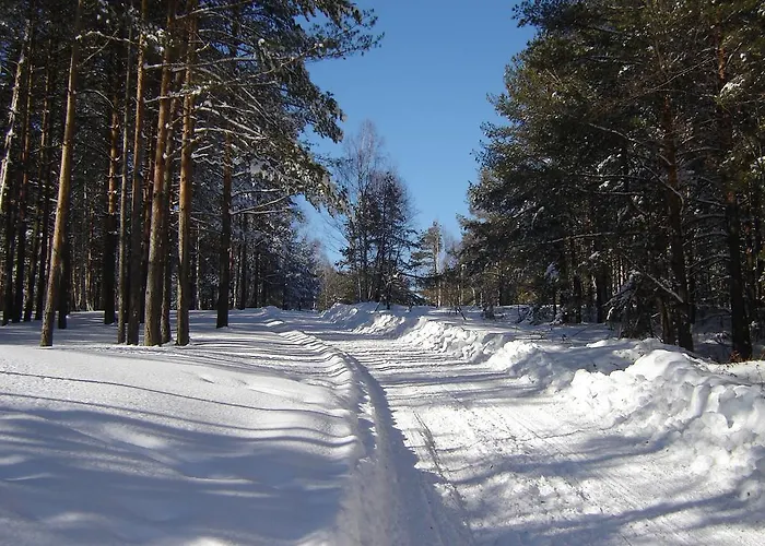 Apartment Beljic Divčibare