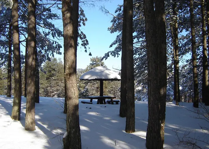 Beljic Apartment Divčibare